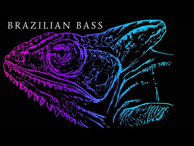 DJ Set 2024 BRAZILIAN BASS MIX Vol. 40