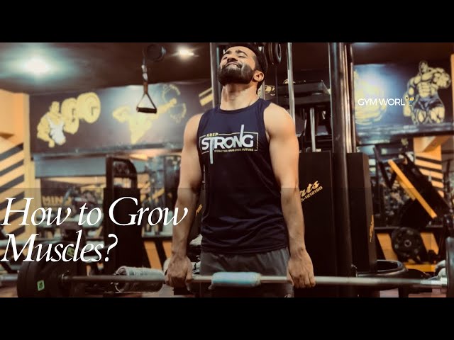 Best Gym Workout Music 2024 🔊 Top 20 Songs 🔊 Best Motivational Music 2024