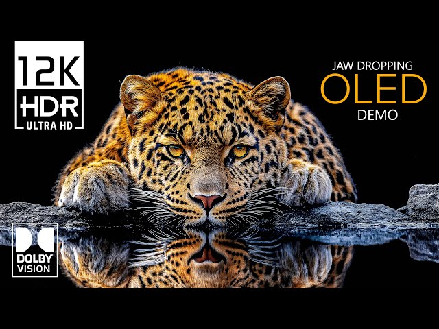 12K HDR 120FPS | The Heaven of Dolby Vision 12K Video (4K / 8K TV)