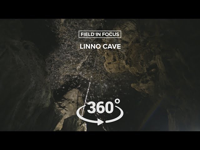 Field in Focus: Linno Cave 360