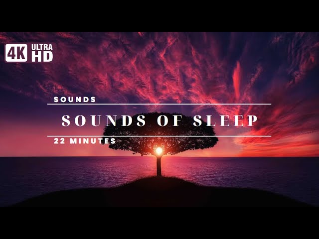 Beautiful Relaxing Music for sleep