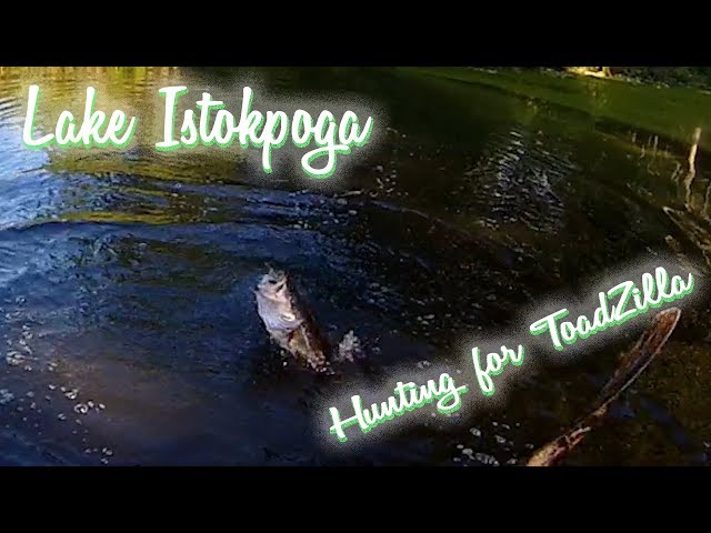 Kayak Bass Fishing on Lake Istokpoga