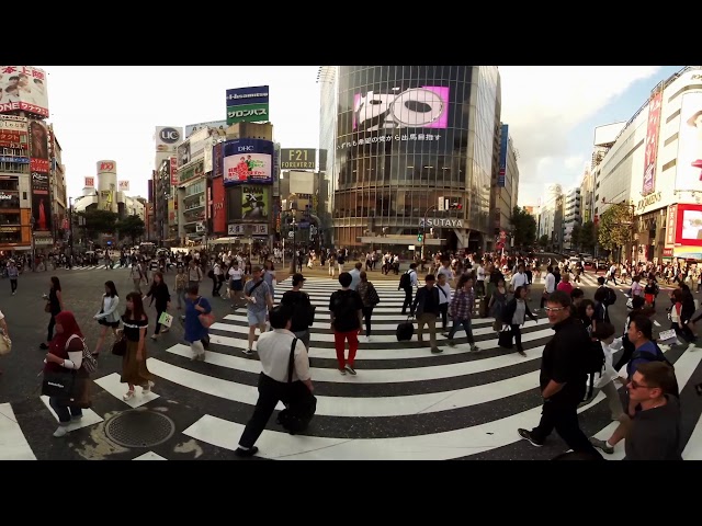 Shibuya Crossing Scramble in 360