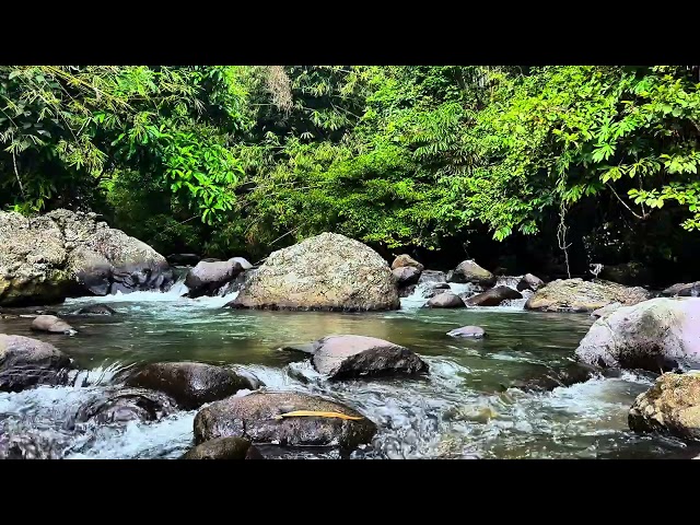 The sound of river water meditation calms the mind and treats insomnia #asmr