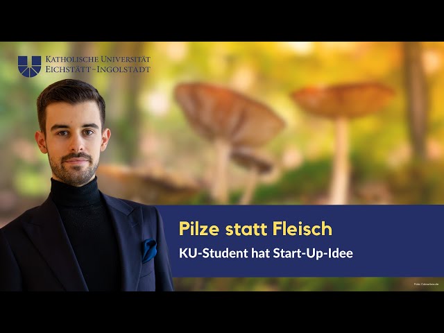 KU-Student arbeitet an nachhaltigen Fleischersatzprodukten