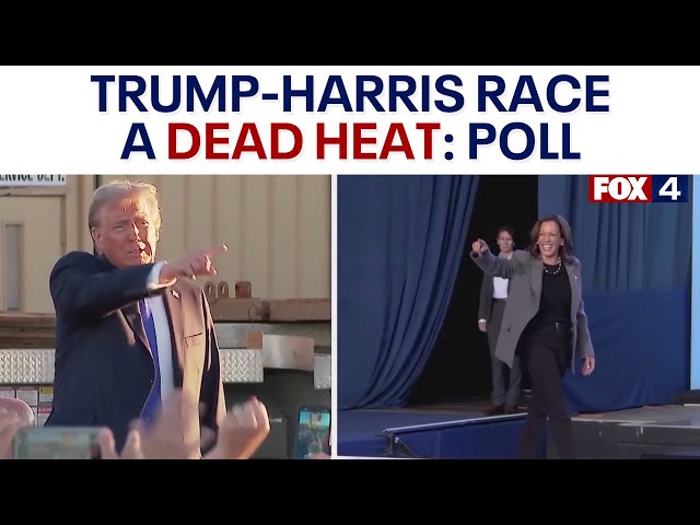 Polls: Trump-Harris in dead heat nationwide