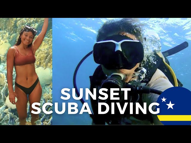 SCUBA DIVING IN PARADISE CURAÇAO | SILSKITRAVELS