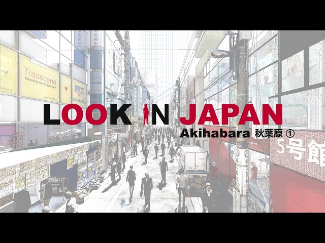 LOOK IN JAPAN / AKIHABARA 1 - Animation 3D (SketchUp 2020 & Lumion 11)