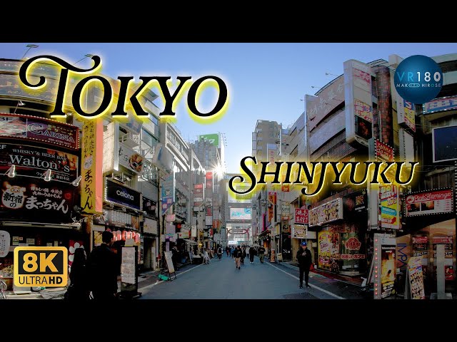 新宿駅東口-歌舞伎町-トーヨコ-新宿駅南口へ - Shinjyuku Kabukicho -  VR散歩  Trip Tokyo JAPAN 8K3D VR180