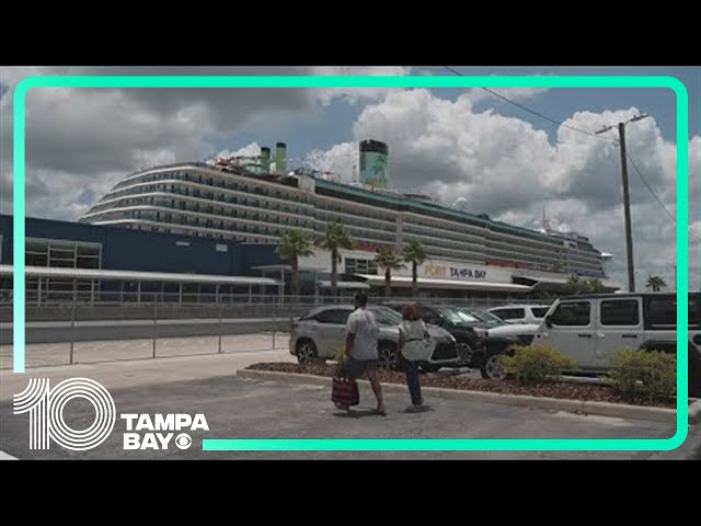 Applications open for first-ever dog-friendly cruise