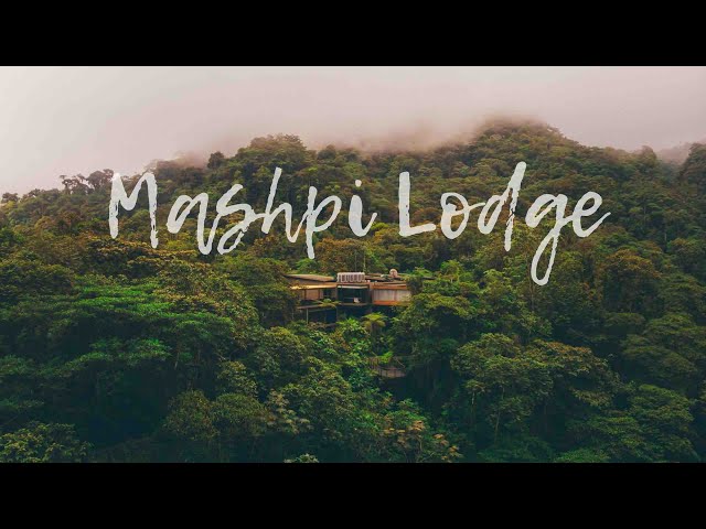 MASHPI LODGE | Amazing Experience in the Ecuadorian Cloud Forest