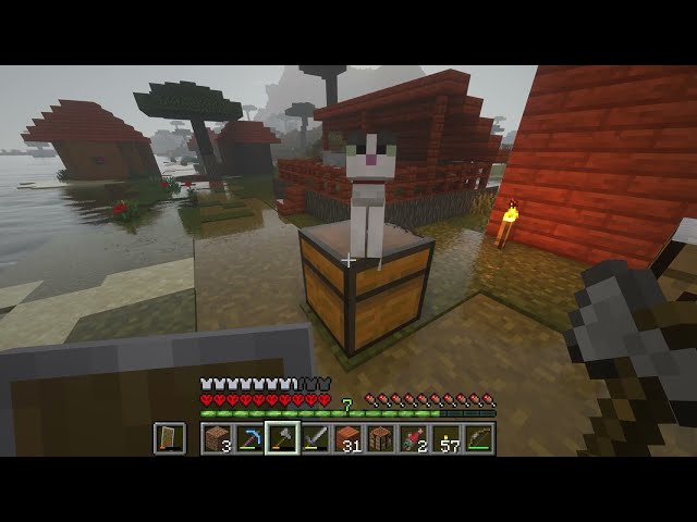 Minecraft 1.19 SEUS Renewed v1.0.1 Shader 4k2160p ULTRAHD