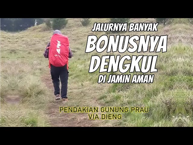 LANDAI SAMPAI PUNCAK, DIJAMIN DENGKUL AMAN | PART#2