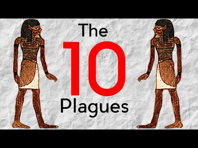 The 10 Plagues of Egypt | VR 360 Experience