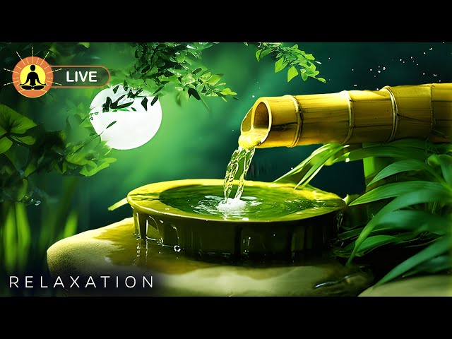 🔴 Ultimate Relaxation Playlist 24/7 🌿2545 - Spa Massage Music | Relaxing Spa Meditation Therapy