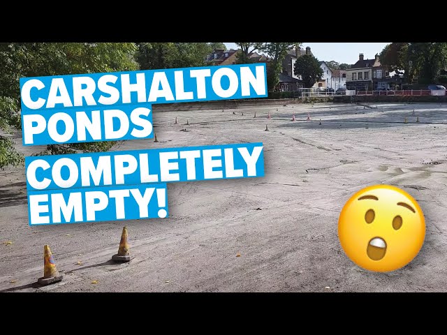 Carshalton Ponds Completely Empty During October 2023