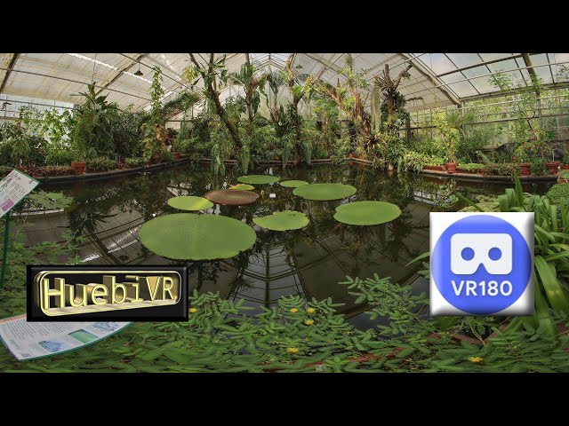 Plants 8K video clips VR180