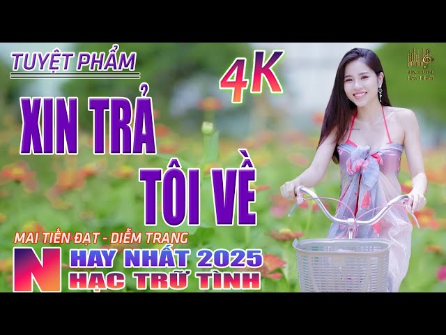 Xin Trả Tôi Về, Thành Phố Buồn🛑 Nhạc Trữ Tình Hay Nhất 2025 - Lk Bolero Nhạc Vàng Xưa Bất Hủ