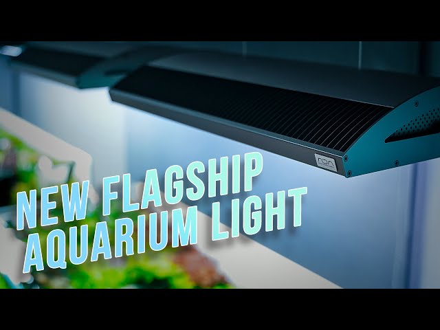 ADA's Newest FLAGSHIP light is a BEAST! | Solar RGB II Unboxing & Setup