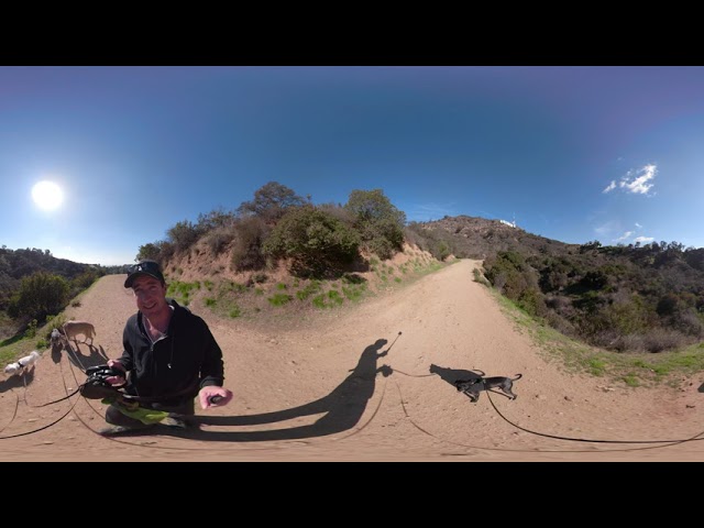 December 27th 360 Video hiking Rossi, Maisy, Walter, Dillinger Griffith Park VIDEO 0790