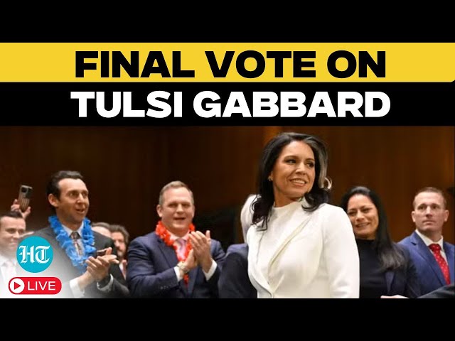 LIVE: Tulsi Gabbard confirmation vote for director of national intelligence | US News | Trump