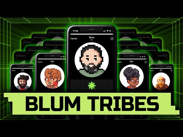 Welcome to Blum Tribes! | Blum News