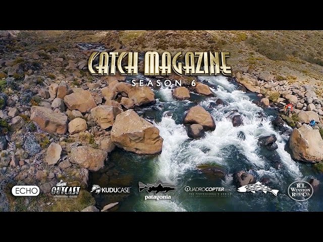 Season #6 DVD by Todd Moen - Catch Magazine