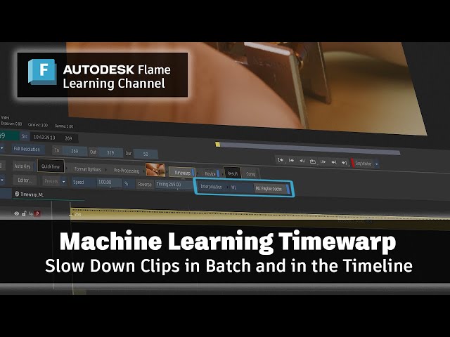 Machine Learning Timewarp - Flame 2025.1