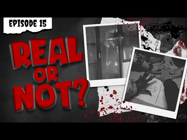 Real or Not - Episode Fifteen (POVs)