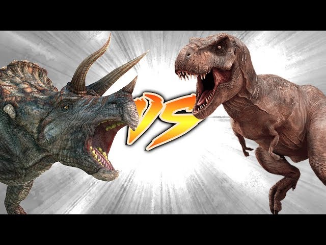 Triceratops VS T.rex [Who Would Win?]