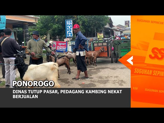 PONOROGO - Dinas Tutup Pasar, Pedagang Kambing Nekat Berjualan