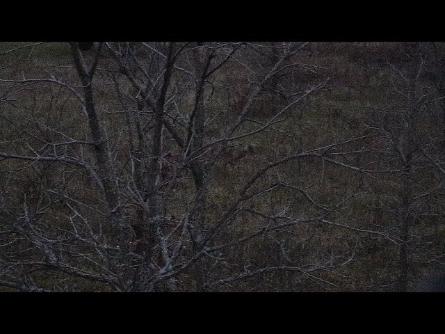 Opening Day - Indiana Whitetail Firearms 2024 Pt. 2