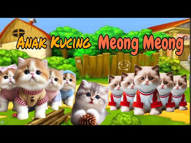 Kucing Usil Lucu Bikin Ngakak😹 ANAK KUCING MEONG MEONG‼️ FUNNY KITTEN VIDEOS #kucinglucu #funnycats