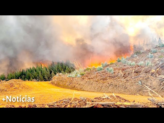 MAS NOTICIAS| Jueves 26 de diciembre de 2024 +Noticias mundiales en español