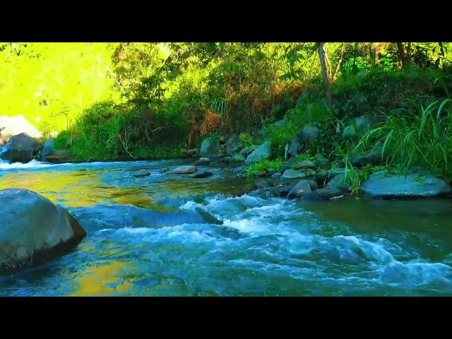 Natural River Sounds Nature Sounds White Noise Water Sounds For Deep Sleep, Stress Relief, Study