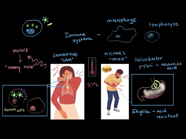 Manifestation & treatment of infectious diseases | Human Health and Disease | Biology | Khan Academy