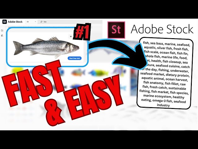 The Best Way To Tag Stock Photos! (Adobe Stock Tutorial)