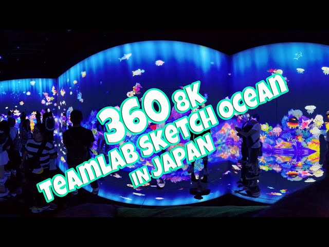 Virtual Walk Insta360 X4 TeamLab MORI Building Digital Arts Museum | Sketch Ocean | June 20, 2024