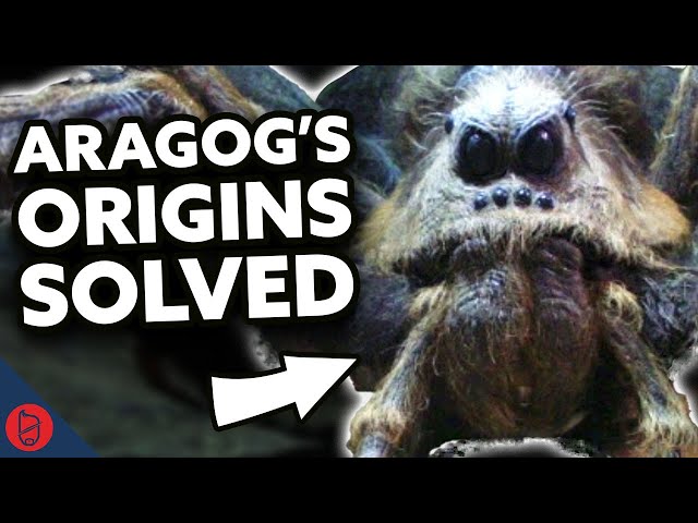 Who REALLY Brought Aragog to Hagrid? | Harry Potter Film Theory