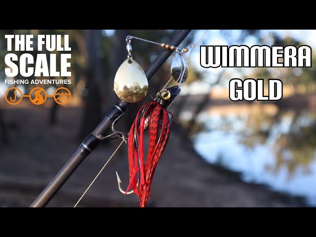 Wimmera River Golden Perch | The Full Scale