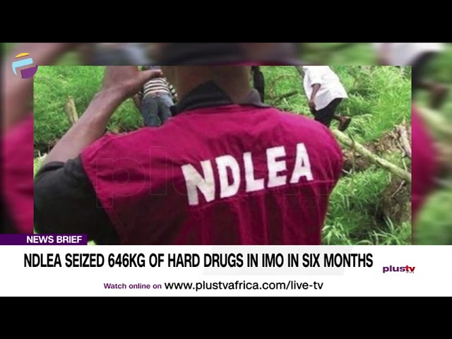 NDLEA Seized 646KG Of Hard Drugs In Imo In Six Months | NEWS