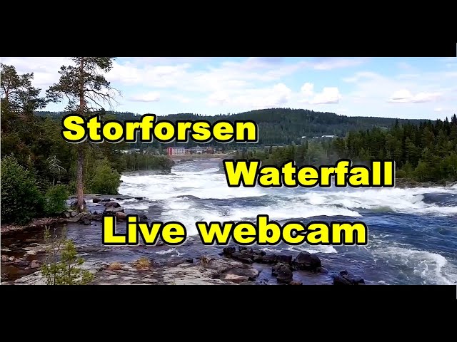 Наедине с природой. Storforsen (Waterfall) Live view