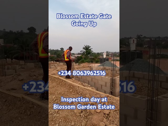 Work update at Blossom Garden Estate #realestate #landforsaleinenugu #investment #commercialland