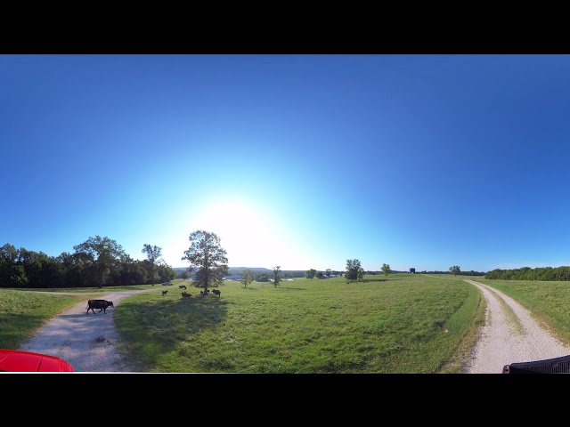 Purina Animal Nutrition Center: Beef Cattle Center VR Tour