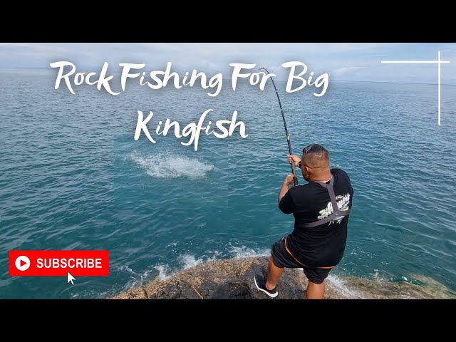 Big Live Bait Catches Big Kingfish!! A Day to Remember | 4K