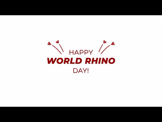 World Rhino Day 2023