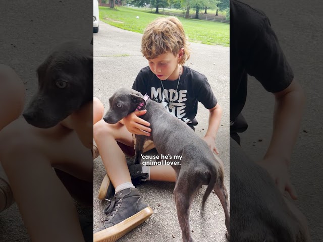 Boy Begs His Mom To Keep The Dog They Rescued From The Street | The Dodo