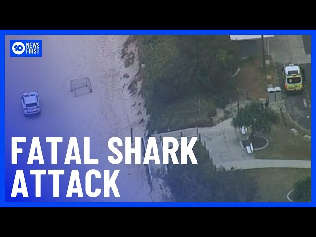 Teenager Dies After Fatal Shark Attack In Brisbane | 10 News First