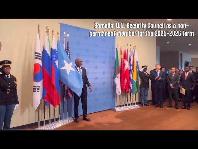 Somalia has assumed its position as the African representative on the UN Security Council.