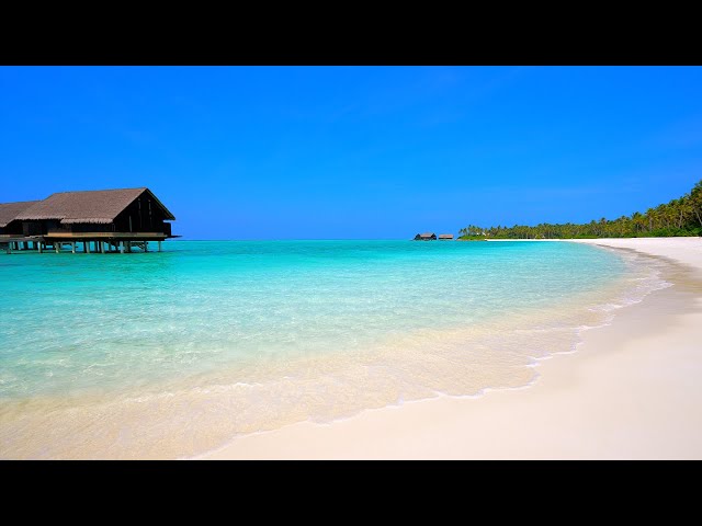 🏝 Beach View: 12 Hours of Maldives Ambience & Soft Ocean Sounds